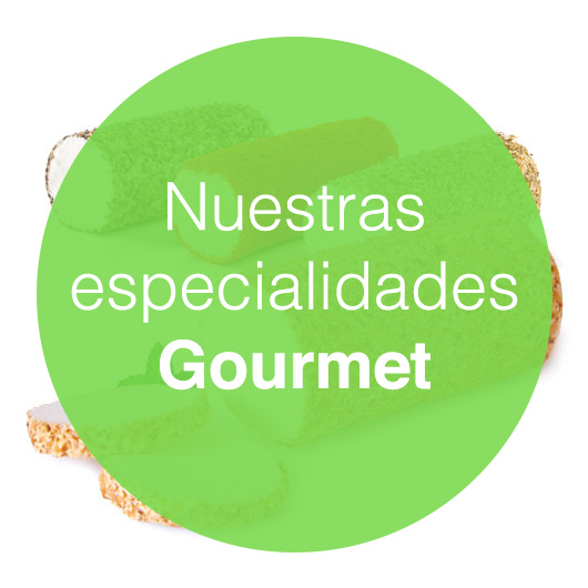 inicio-especialidades-1